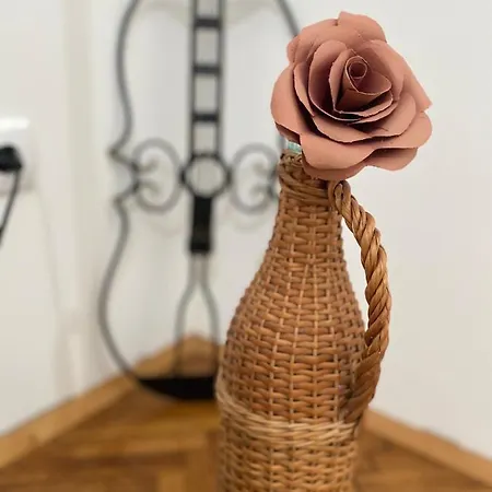 Enjoy Kalenic Appartamento Belgrado